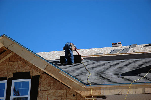 Best Metal Roofing Contractor  in Llano Grande, TX