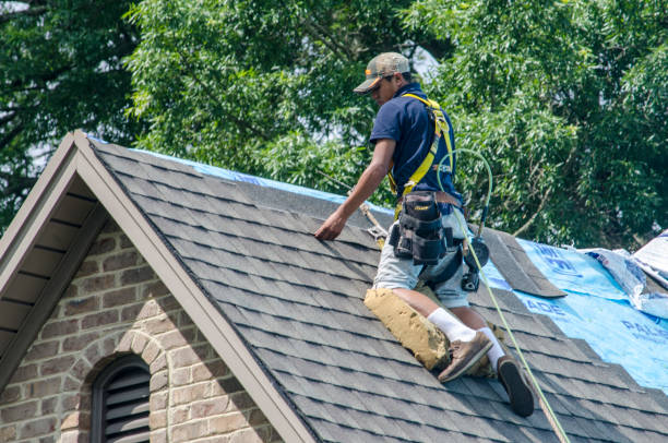 Best Roof Maintenance Services  in Llano Grande, TX